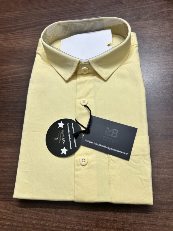 Small Size 38 – Plain Half Sleeve Shirts for Casual Wear – Men’s